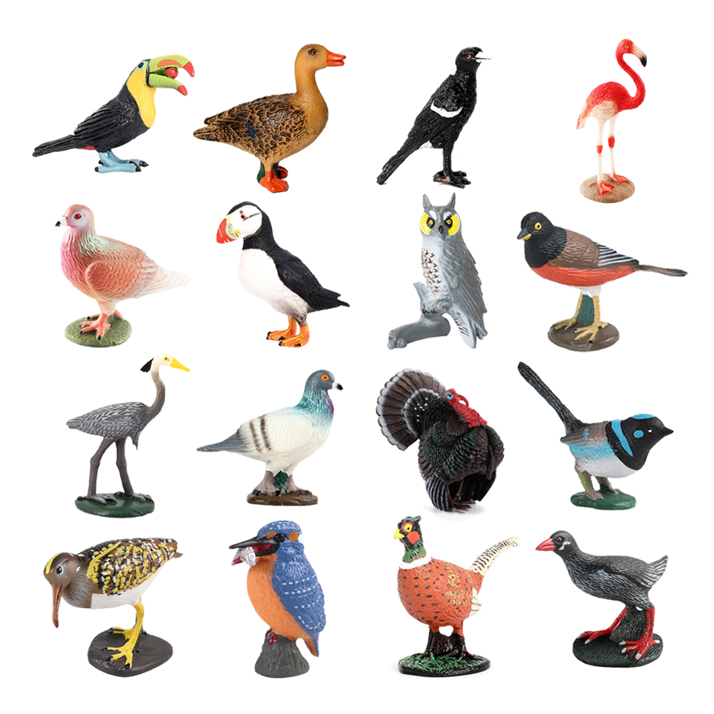 Kids Toys Reviews - ตัวเลขนก Seahawks Stork Eagle Toucan Flamingo