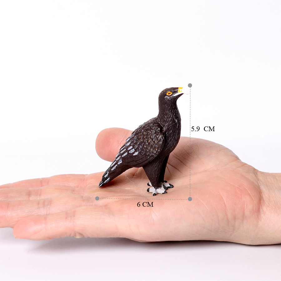 ตัวเลขนก Seahawks Stork Eagle  - Kids Toys Reviews บทวิจารณ์และราคา