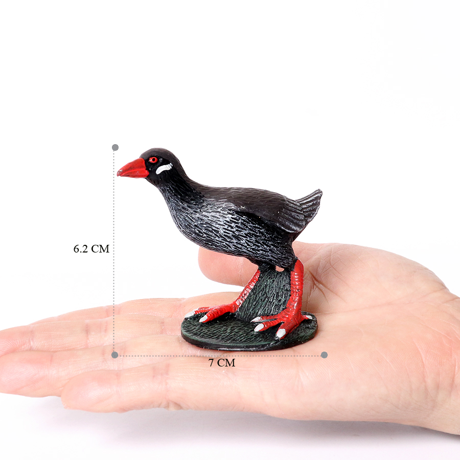 ตัวเลขนก Seahawks Stork Eagle  - Kids Toys Reviews บทวิจารณ์และราคา